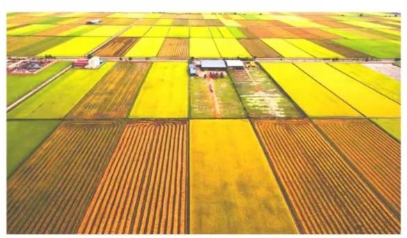 一图读懂《高标准农田建设通则》